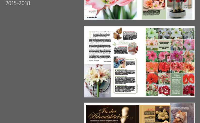 3-Editorial_Angela Shan_2015-2018